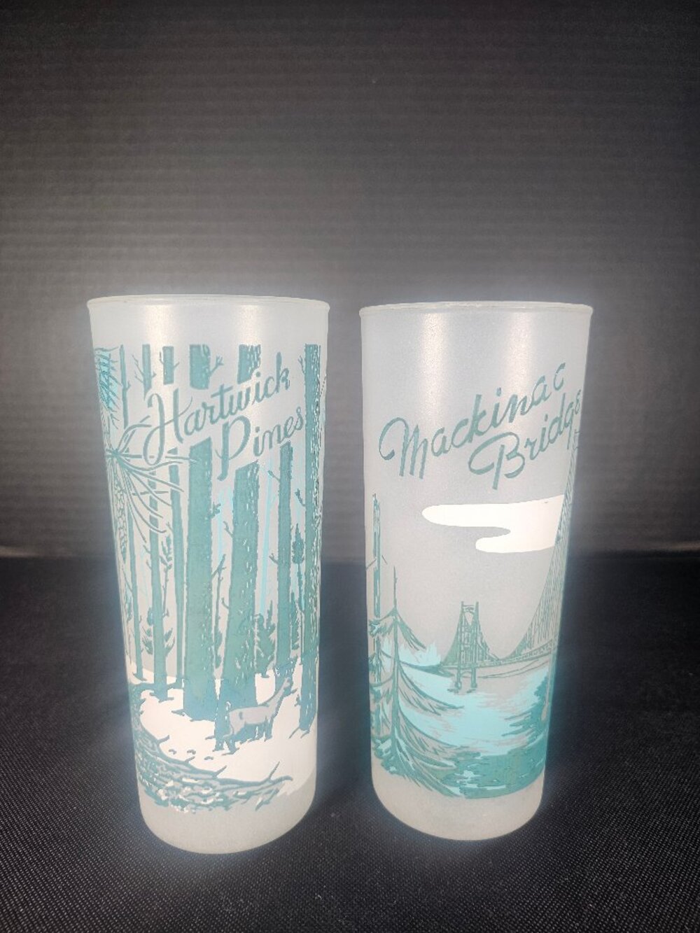 Michigan Souvenir Frosted Glasses Set of 2 Mackinac Bridge & Hartwick Pines
